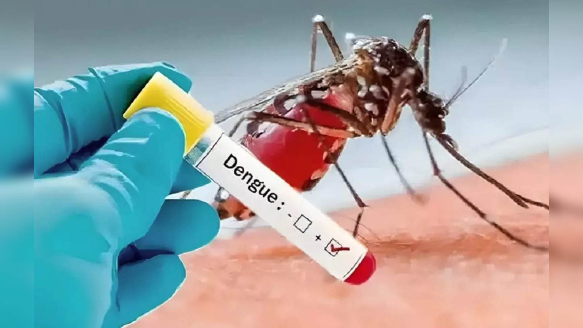 Dengue In Monsoon