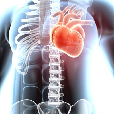 cardiologist in Guntur